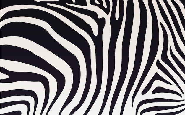 Textura de impressão de zebra com ilustração vetorial de listras pretas e brancas