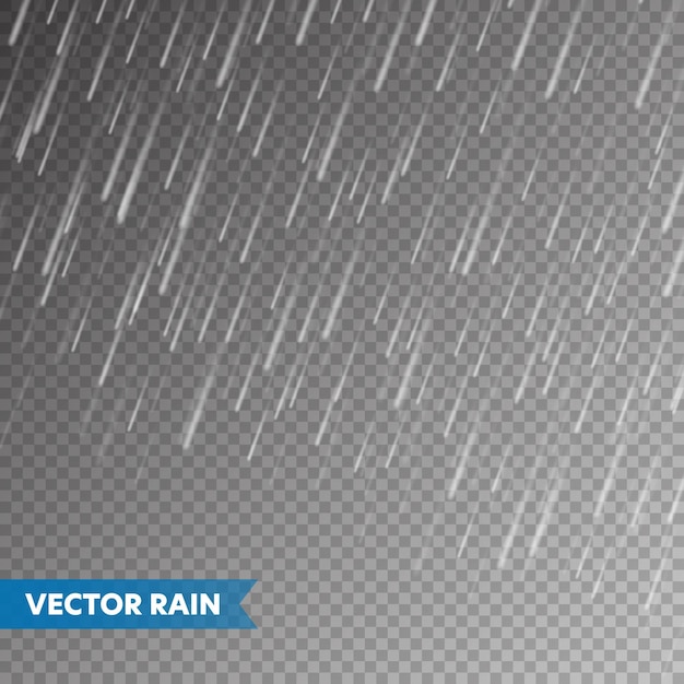 Vetor textura realista de chuva em fundo transparente queda de chuva gotas de água efeito dia chuvoso úmido de outono