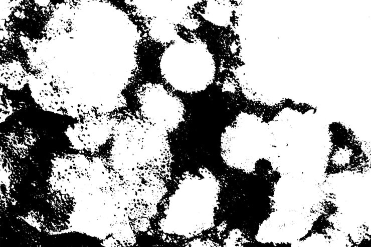Vetor textura vetorial grunge rústica com grãos e manchas fundo de ruído abstrato superfície resistida suja e danificada detalhada fundo áspero vetor gráfico ilustração com branco transparente eps10