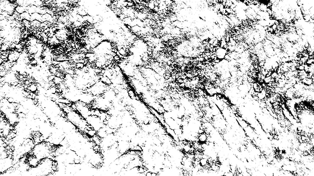 Textura vetorial grunge rústica com grãos e manchas fundo de ruído abstrato superfície resistida suja e danificada detalhada fundo áspero vetor gráfico ilustração com branco transparente eps10
