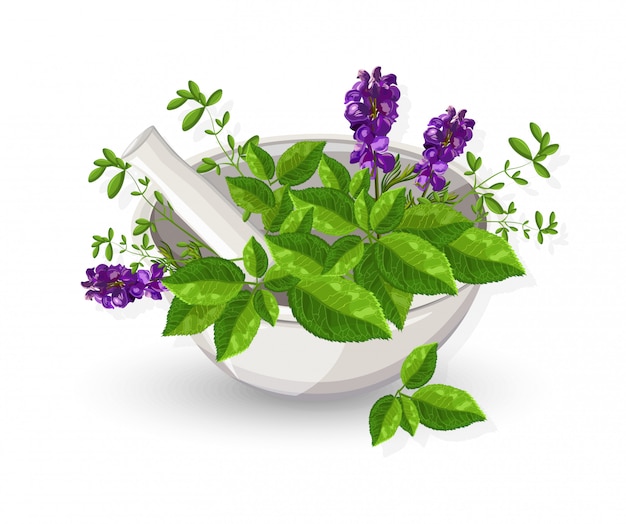 Tigela de moinho branco com folhas de eucalipto e flores de lavanda