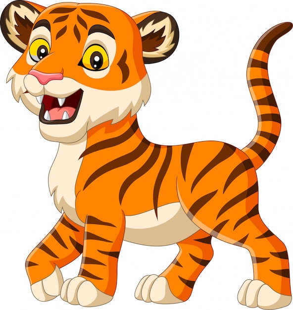 Tigre de bebê dos desenhos animados isolado