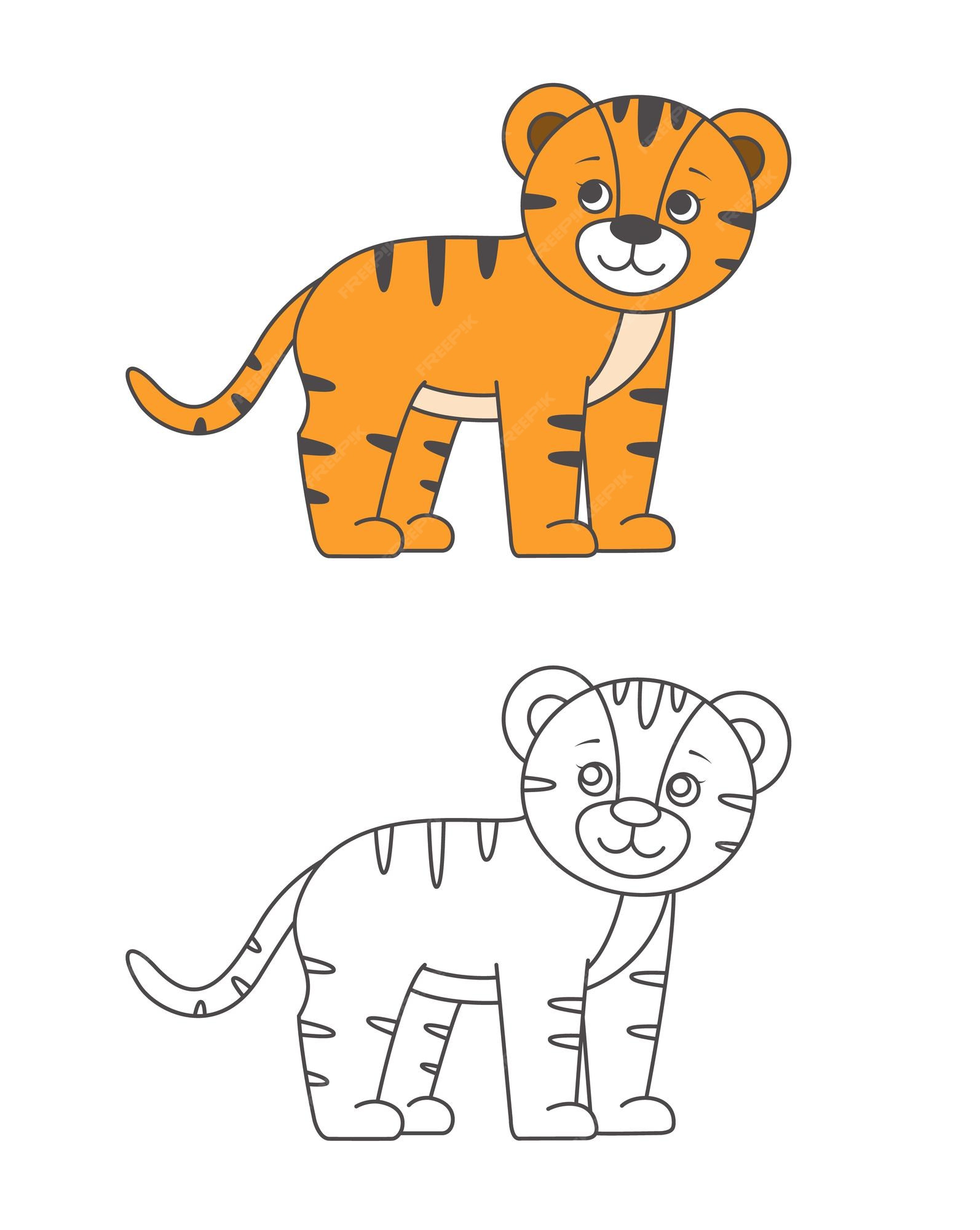 Como Desenhar Uma Ilustração Vetorial Tigre Desenhe Tigre Fácil Passo  imagem vetorial de NutkinsJ© 444607566