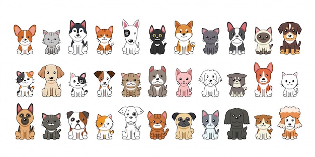Tipo diferente de cães e gatos dos desenhos animados
