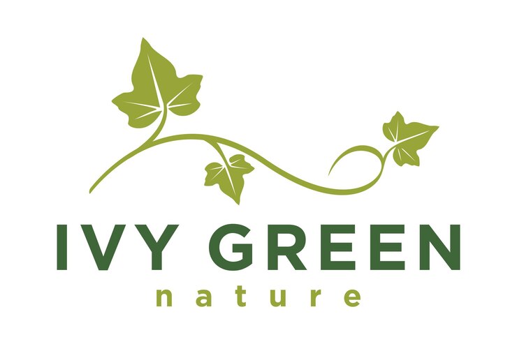 Vetor tipografia vine com design de logotipo ivy leaf