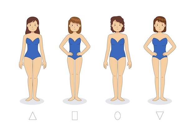 Vetor tipos de desenhos do corpo feminino