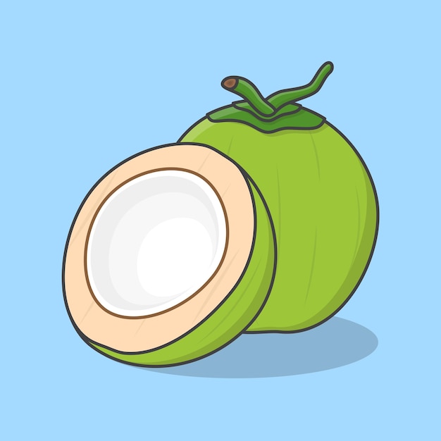 Todo e metade da ilustração vetorial dos desenhos animados de coco verde fresco e jovem contorno de ícone plano de coco