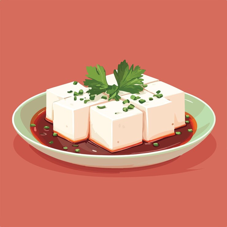 Vetor tofu delicioso com molho fun ilustração de desenho animado ilustração vetorial