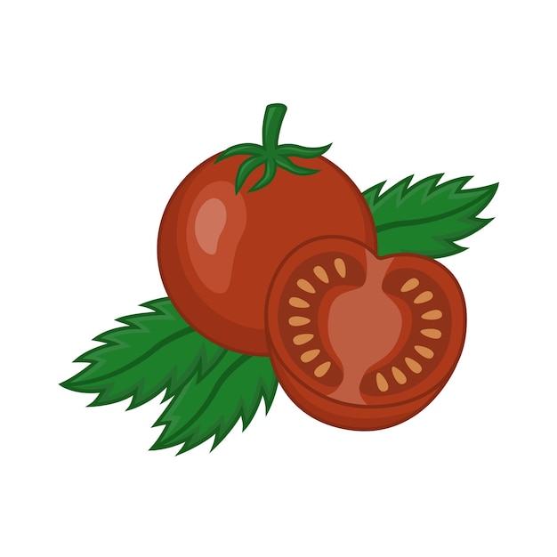 Tomate fresco com folhas desenho de ilustração vetorial