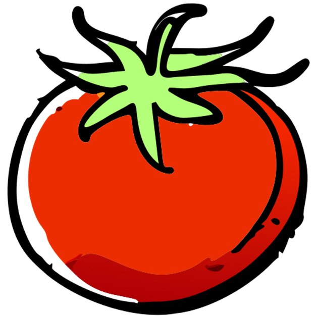 Vetor tomate isolado em fundo branco ícone preenchimento doodle