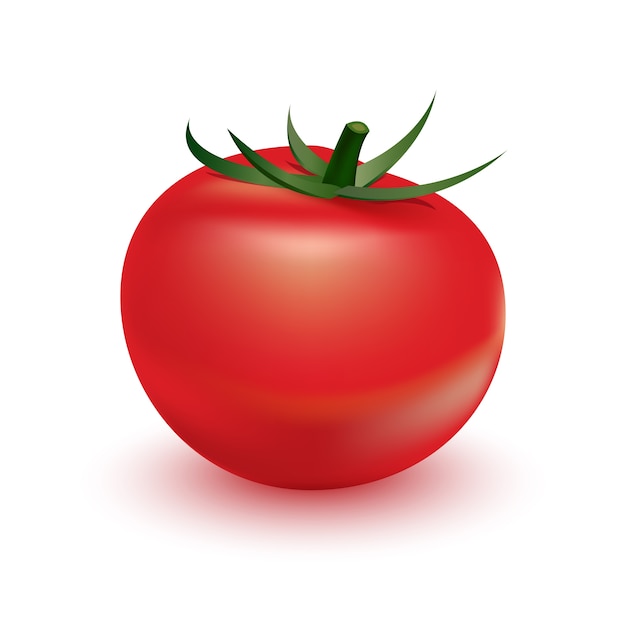 Tomate