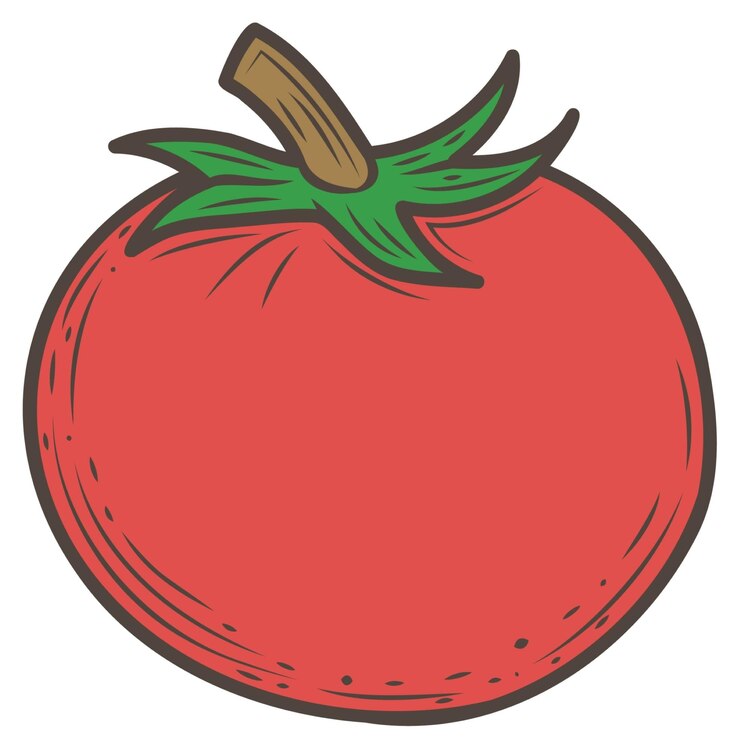 Vetor tomate