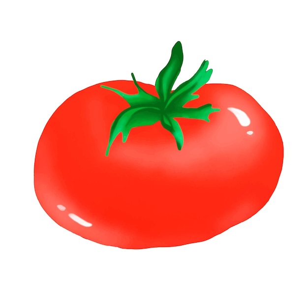 Vetor tomate