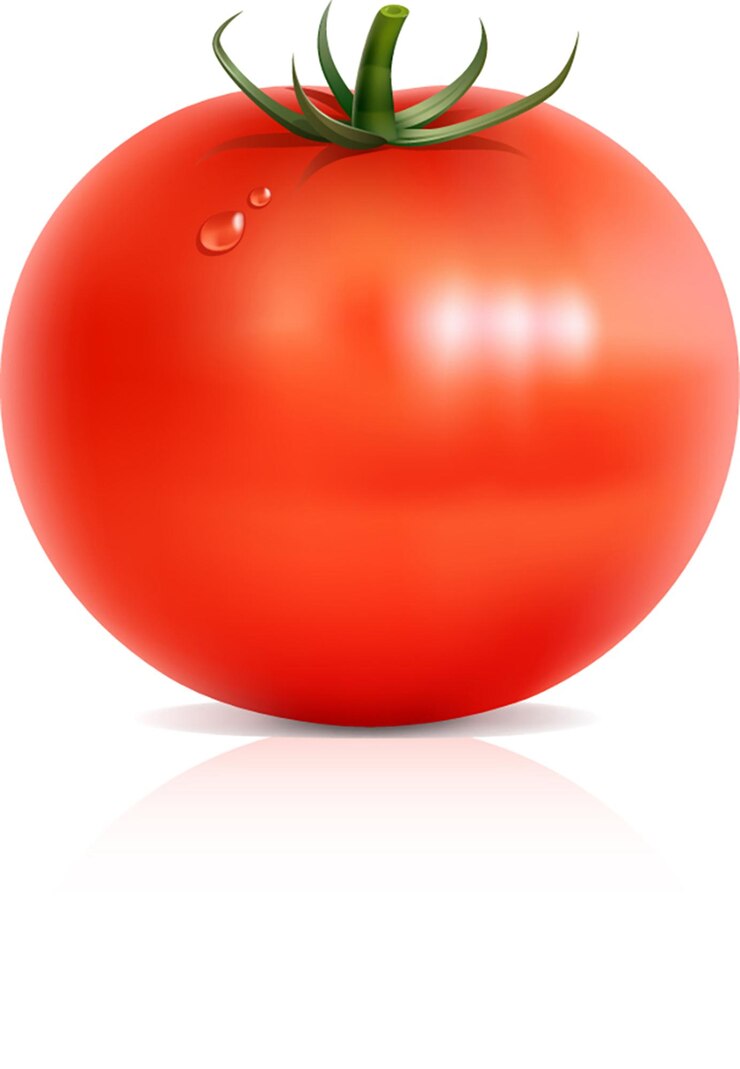 Vetor tomate