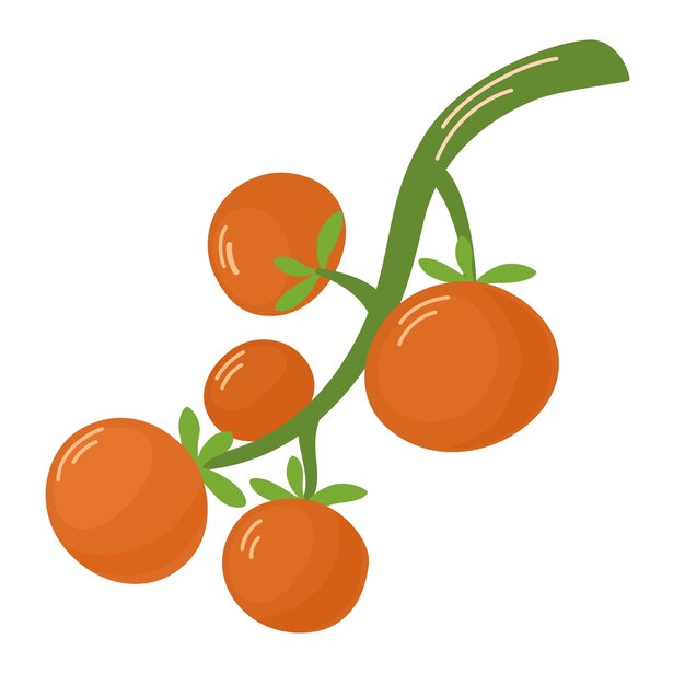 Tomates cereja crescendo em galho Vegetais vermelhos frescos maduros em plantas alimentares Pequenos vegetais de saúde