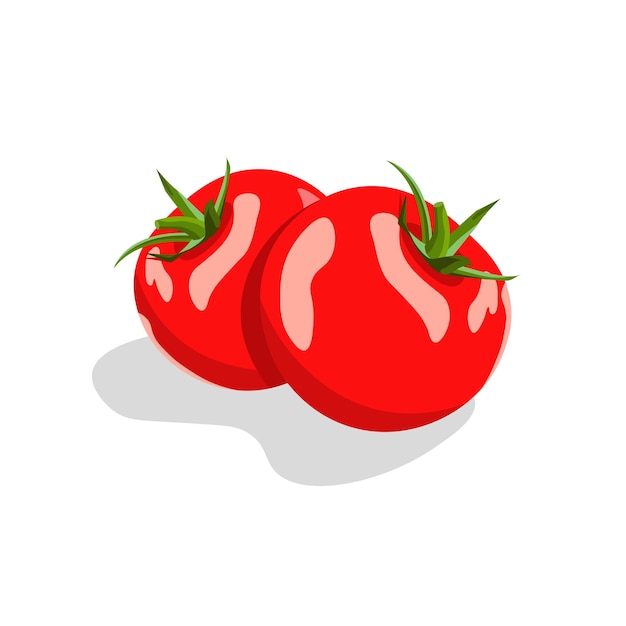 Tomates isolados em fundo branco Dois tomates vermelhos