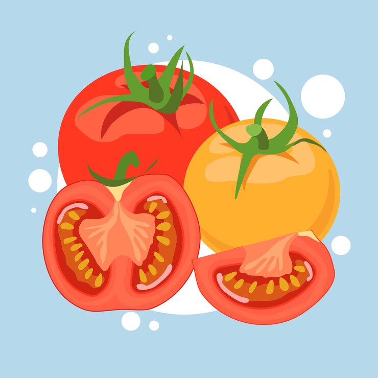 Vetor tomates maduros