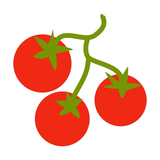 Tomates vector design plano isolado no fundo branco