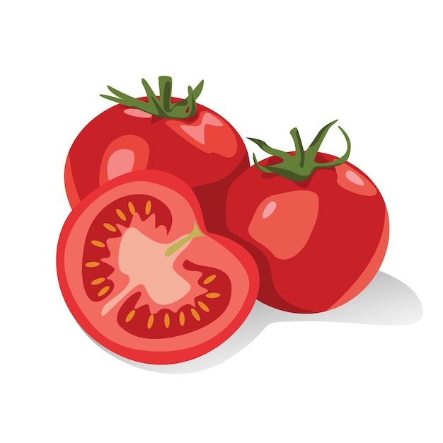 Vetor tomates vermelhos frescos e meio tomate estilo vetor plano