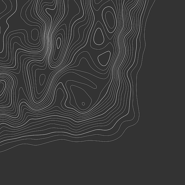 Topografia vetorial de contornos cinzentos Ilustração vetorial de contorno geográfico de montanha Textura de padrão topográfico Mapa em terreno vetorial Elevação linhas de altura de contorno gráfico