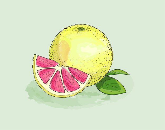 Toranja em aquarela