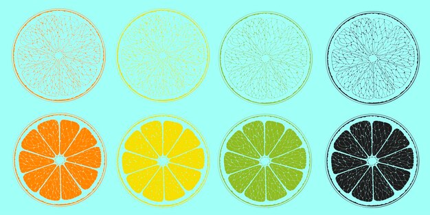 Toranja limão laranja e limão corte frutas quatro fatias de frutas cítricas ilustração de sontour