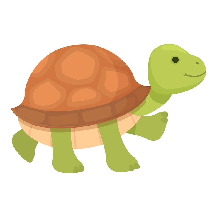 Vetor tortuga de desenho animado verde alegre com uma concha marrom sorridente e pronta para o seu projeto