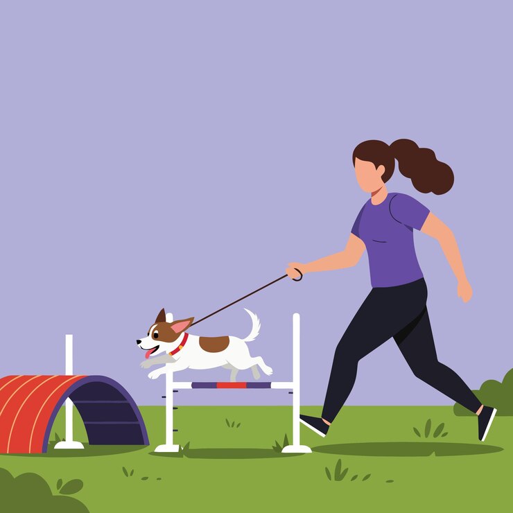 Vetor treinamento de agilidade de cão com mulher correndo e cão saltando sobre obstáculo