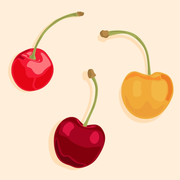 Três bagas de cereja em amarelo vermelho e bordô produtos naturais e ícones de comida de sobremesa