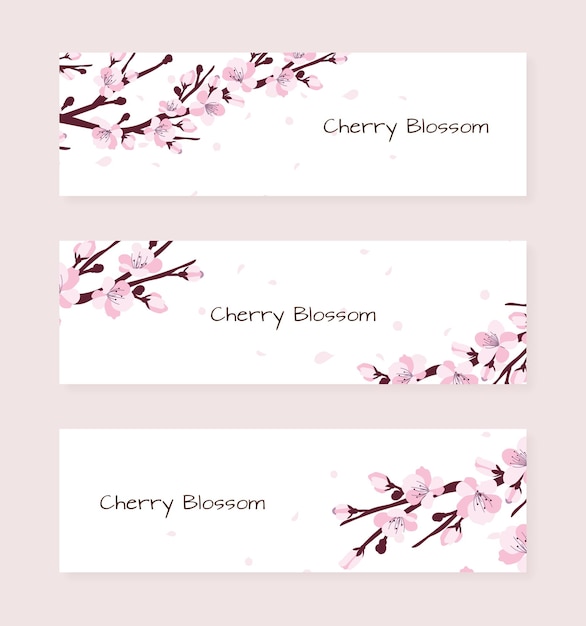 Três banners com flores de cerejeira decorativas rosa frescas ou vetor de cultura japonesa de flores de cerejeira