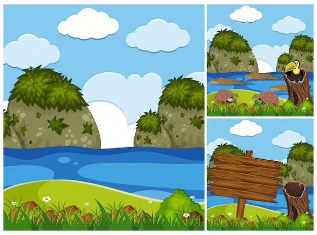 Três cenas da natureza com crocodilos no rio