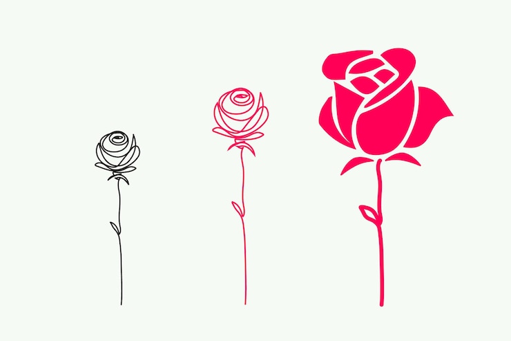 Vetor três flores coloridas diferentes em um fundo branco