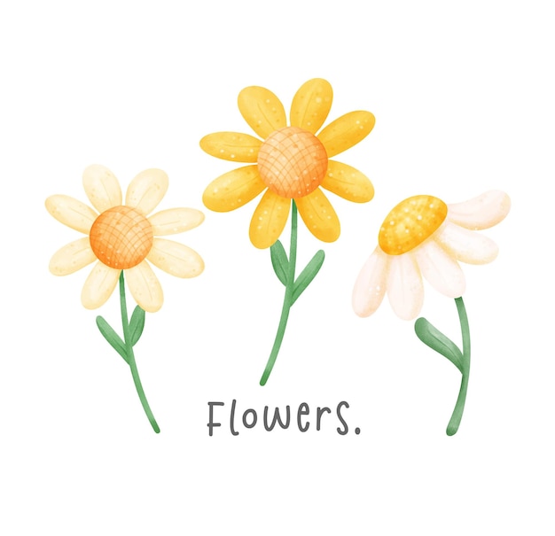 Três flores de margarida bonitas aquarela desenho à mão ilustração vetor