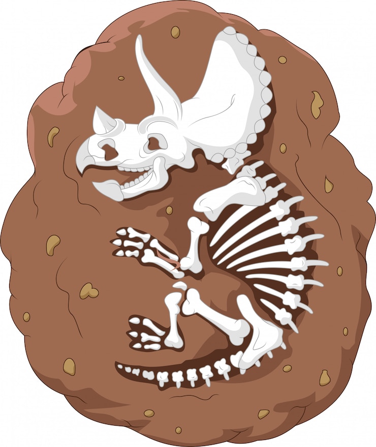 Vetor triceratops de desenhos animados fósseis