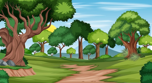 Trilha no cenário da paisagem da floresta