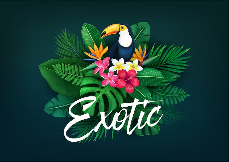 Vetor tropical com tucano