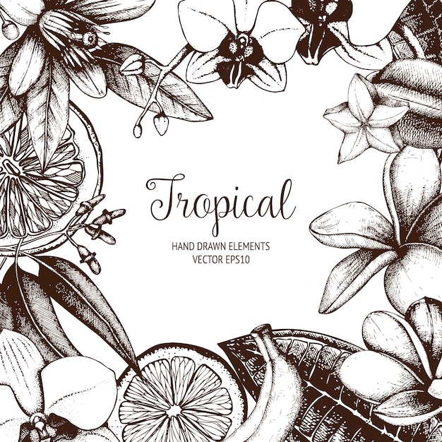 Tropical . quadro vintage de plantas exóticas de mão esboçado.