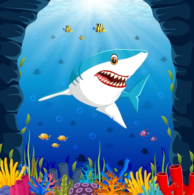 tubarão de desenhos animados sob o mar