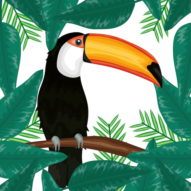 Tucano bonito com decoração de folhas exóticas e tropicais