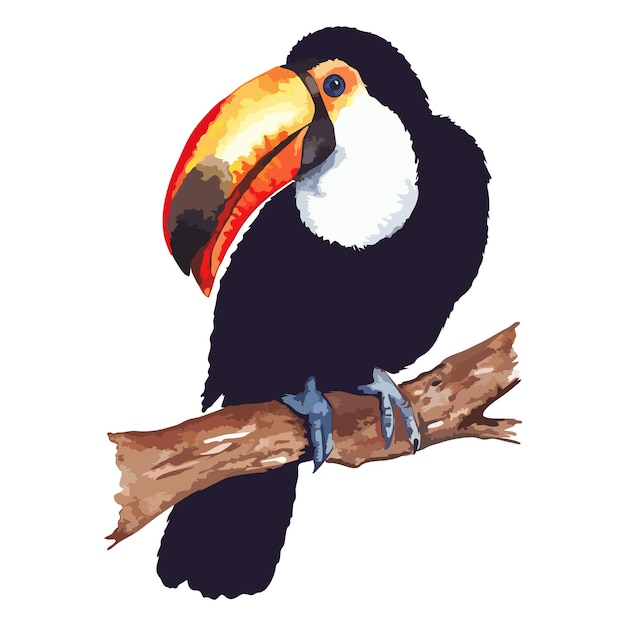 Tucano de pássaro tropical exótico em aquarela sentado no vetor de arte isolado de galho