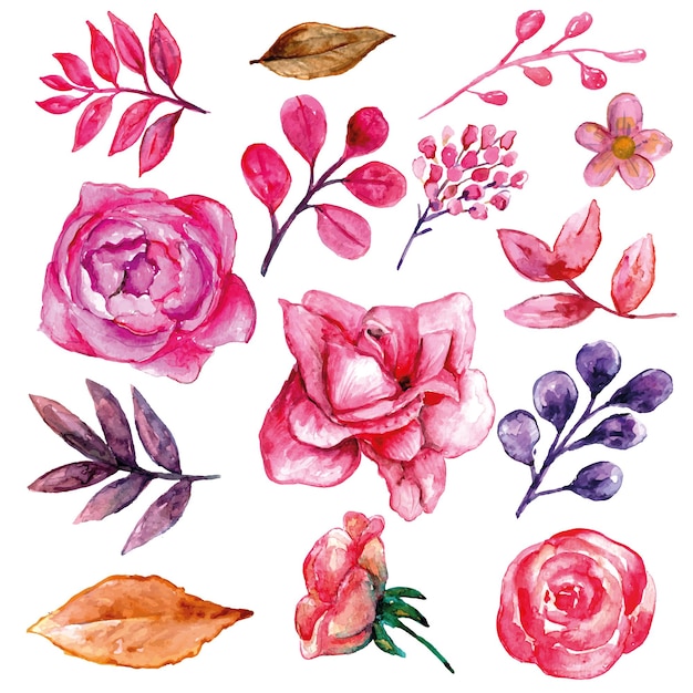 Tudo sobre aquarela floral rosa