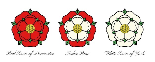 Vetor tudor rosa vetor ícone isolado emblema heráldico tradicional da inglaterra a guerra de rosas de casas