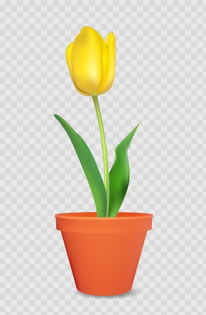 Tulipa 3d realista em vaso de flores. elemento de design.