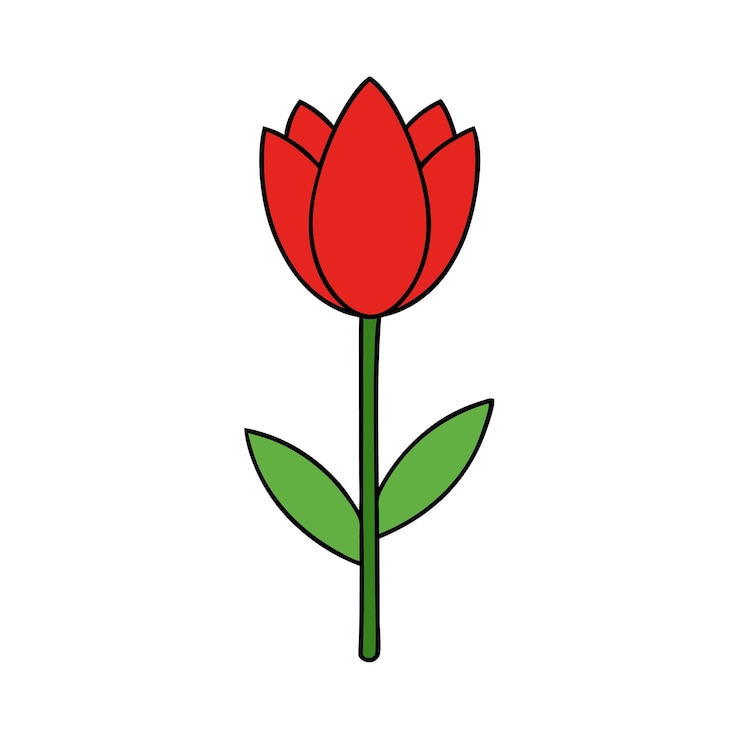 Vetor tulipa vermelha única