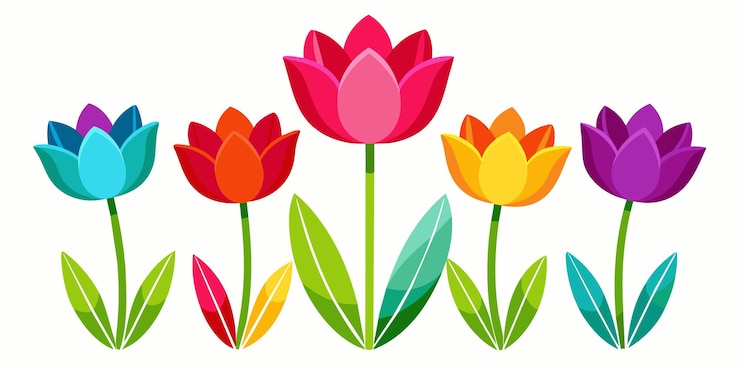 Vetor tulipas coloridas isoladas em fundo branco