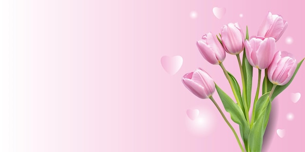 Tulipas cor de rosa em um fundo rosa