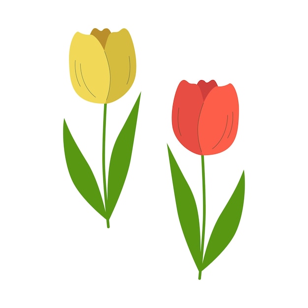 Vetor tulipas desenhadas à mão flores de primavera folhas florais e verdes elementos botânicos em flor multicoloridas
