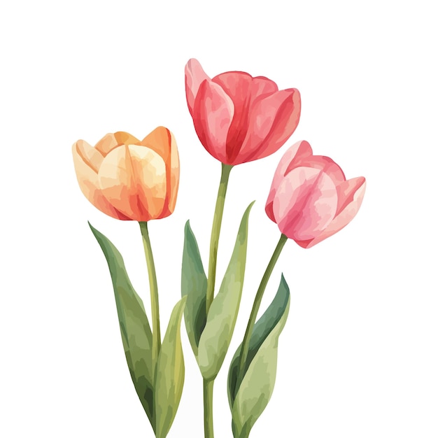 Vetor tulips vintage vetoriais livres