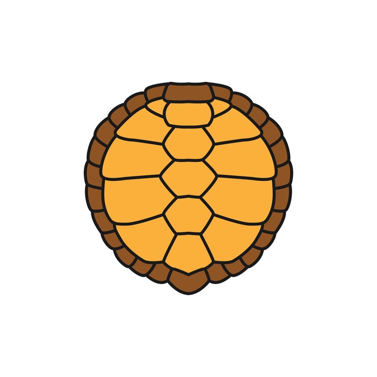 Vetor turtle shell padrão de desenho animado tartaruga concha tartaruga animada