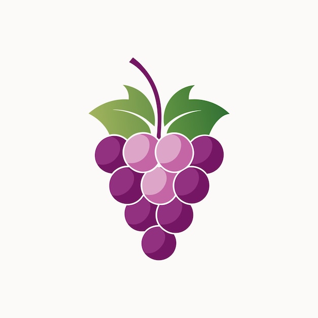 Um aglomerado de uvas exibido em uma superfície branca simples desenvolver um logotipo elegante para uma loja de vinhos especializados usando apenas um racimo de uvas minimalista